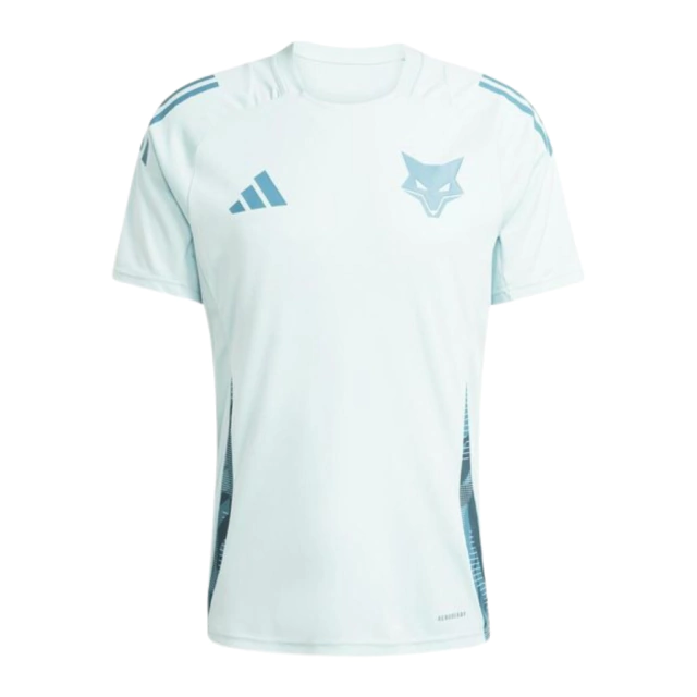 Camisa Cruzeiro Treino 2025 Masculina