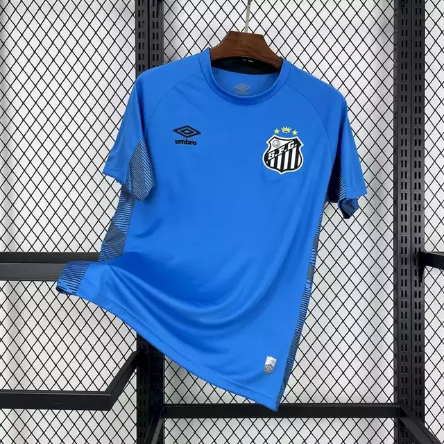 Camisa Santos Goleiro 2025 Masculina