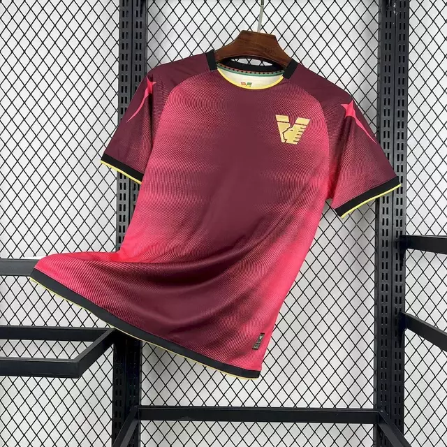 Camisa Venezia Treino 25/26 Masculina
